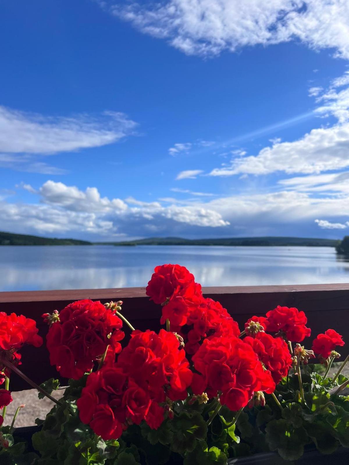 Jauri Resort Kemijärvi Екстериор снимка